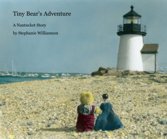 Tiny Bear's Adventure book cover