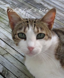 That´s Cat´s Life book cover