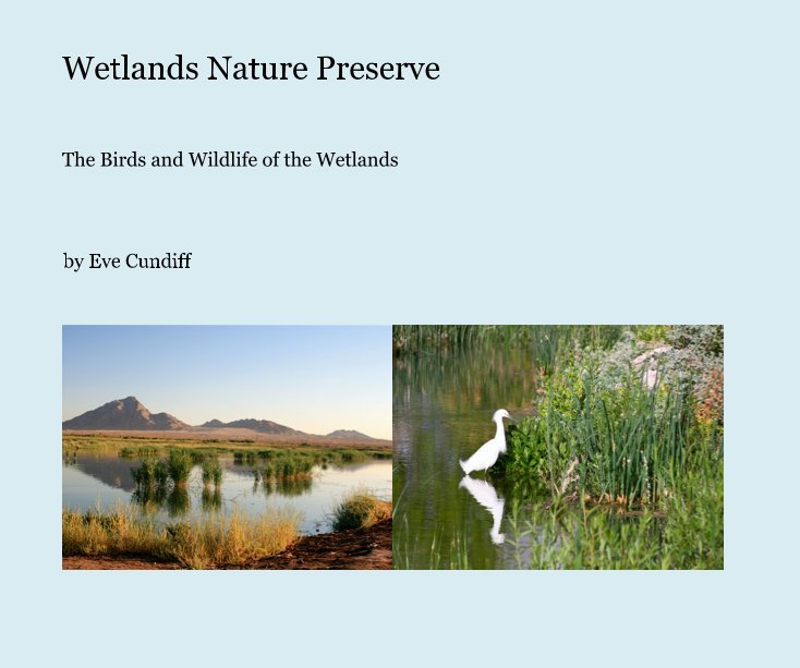 View Wetlands Nature Preserve by Eve Cundiff