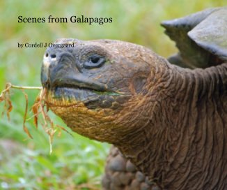 Scenes from Galapagos book cover