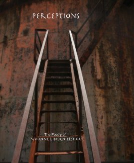 perceptions book cover