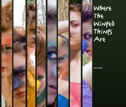Where The Winged Things Are book cover