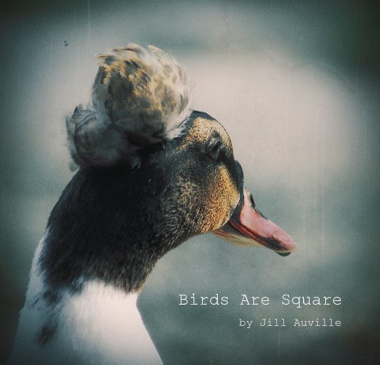View Birds Are Square by Jill Auville