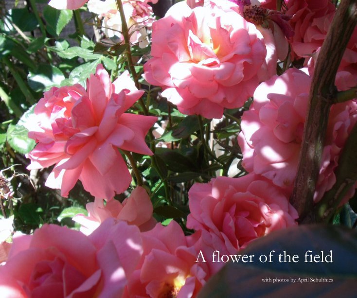 View A flower of the field by April Schulthies