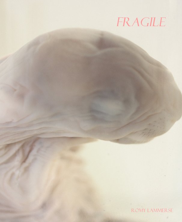 View Fragile by romy lammerse