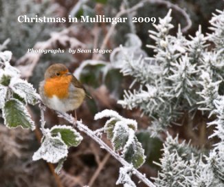 Christmas in Mullingar 2009 book cover