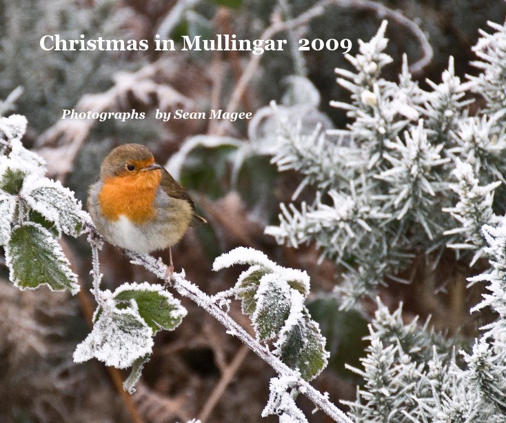Ver Christmas in Mullingar 2009 por Photographs by Sean Magee