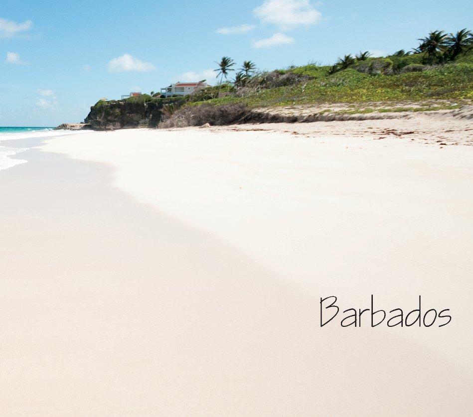 View Barbados by Will Houston