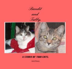 Bandit and Tabby. book cover