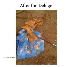 After the Deluge book cover