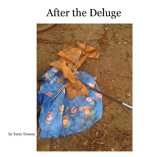 Ver After the Deluge por Terry Towery