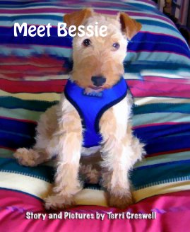 Meet Bessie book cover
