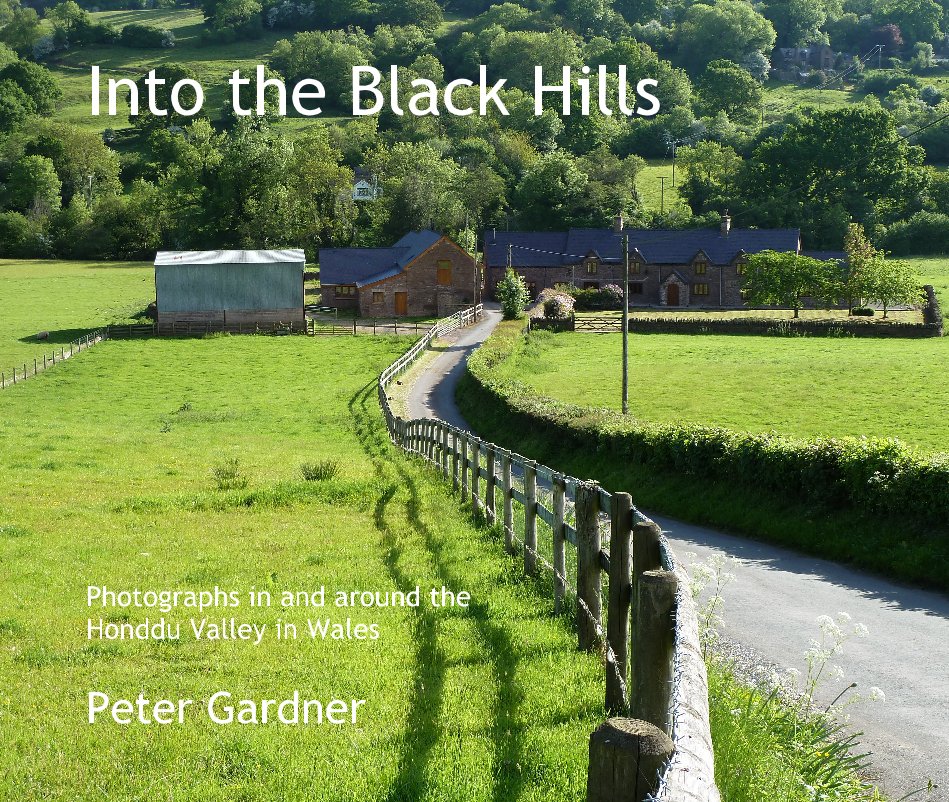 Visualizza Into the Black Hills di Peter Gardner