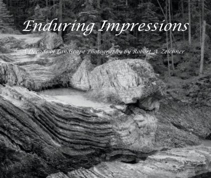 Enduring Impressions book cover