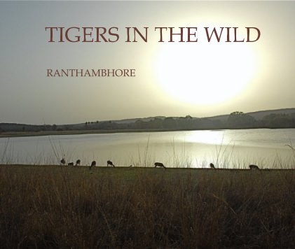 TIGERS IN THE WILD book cover