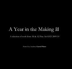 A Year in the Making II book cover