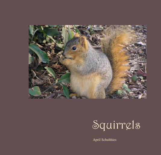 View Squirrels by April Schulthies