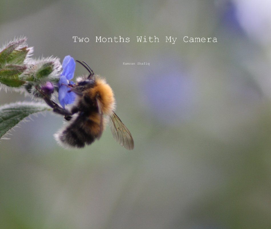 View Two Months With My Camera by Kamran Shafiq