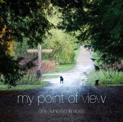 my point of view book cover