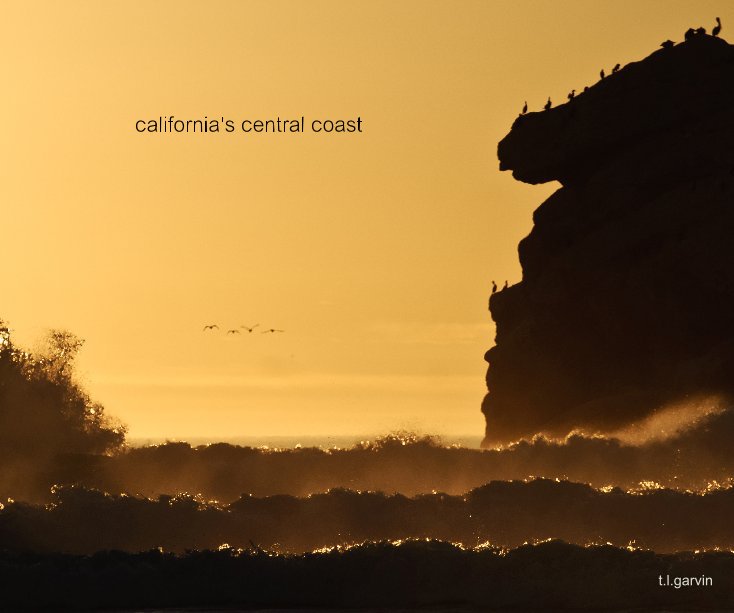 View california's central coast by t.l.garvin