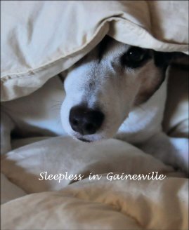 Sleepless in Gainesville book cover