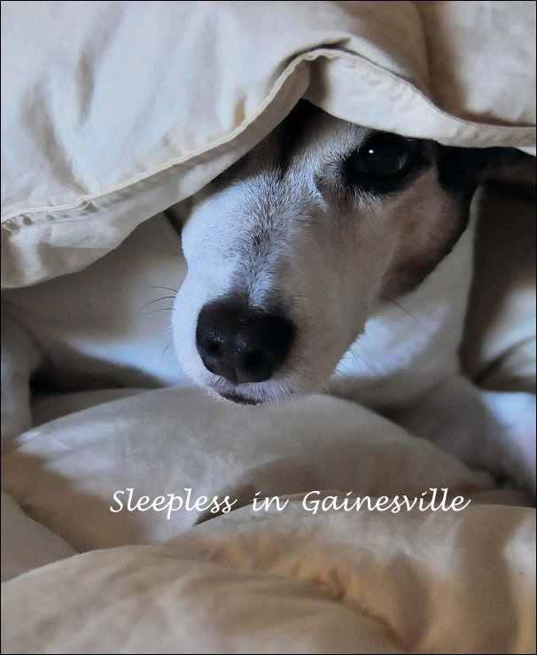 Ver Sleepless in Gainesville por Faye Sheffield
