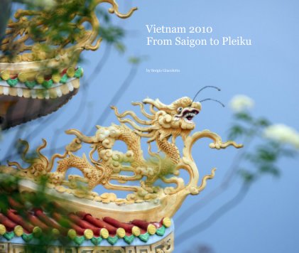 Vietnam 2010 From Saigon to Pleiku book cover