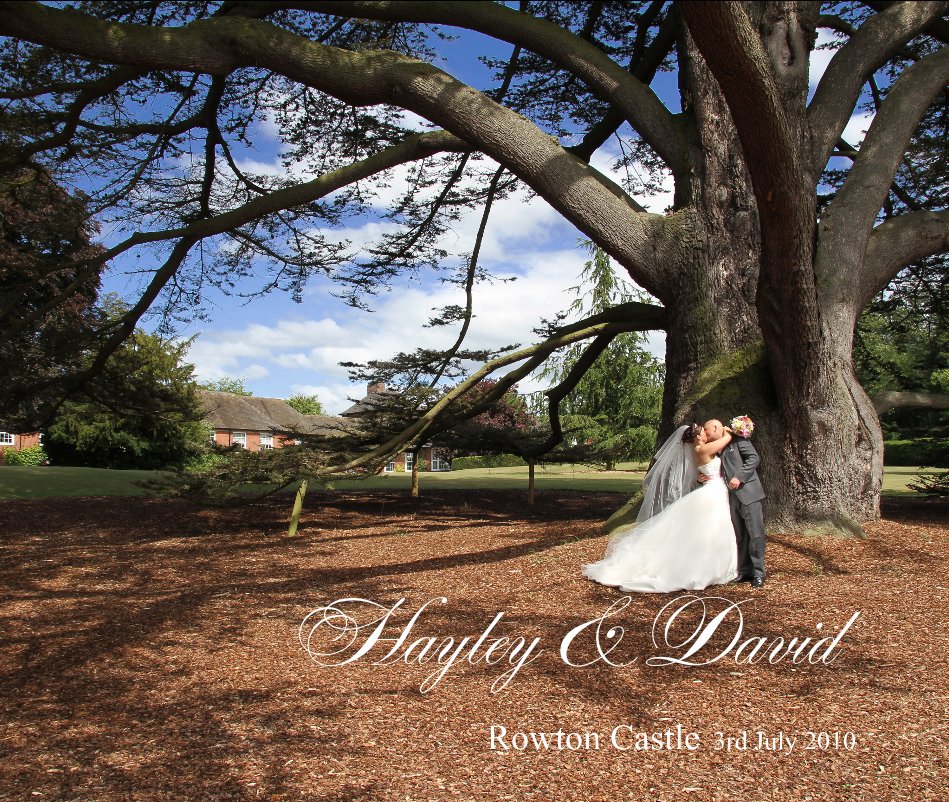 View Hayley & David by Rowton Castle 3rd July 2010