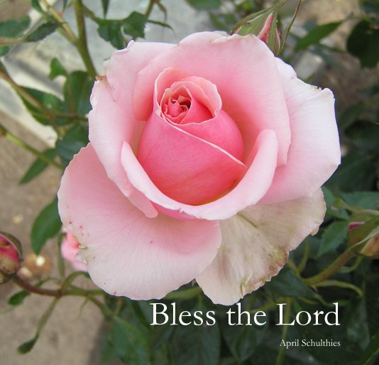 View Bless the Lord by April Schulthies