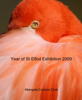 Year of St Elfod Exhibition 2009 book cover
