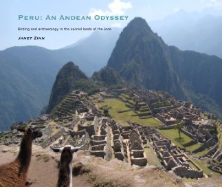 Peru: An Andean Odyssey book cover