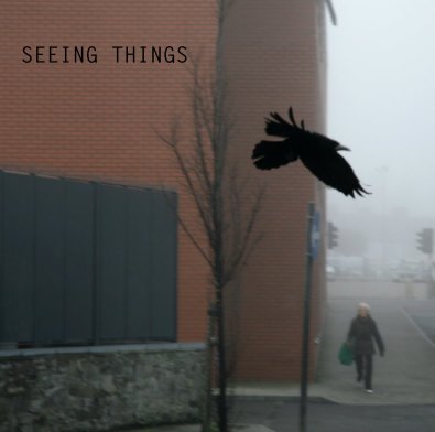 SEEING THINGS book cover