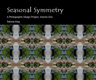 Seasonal Symmetry book cover