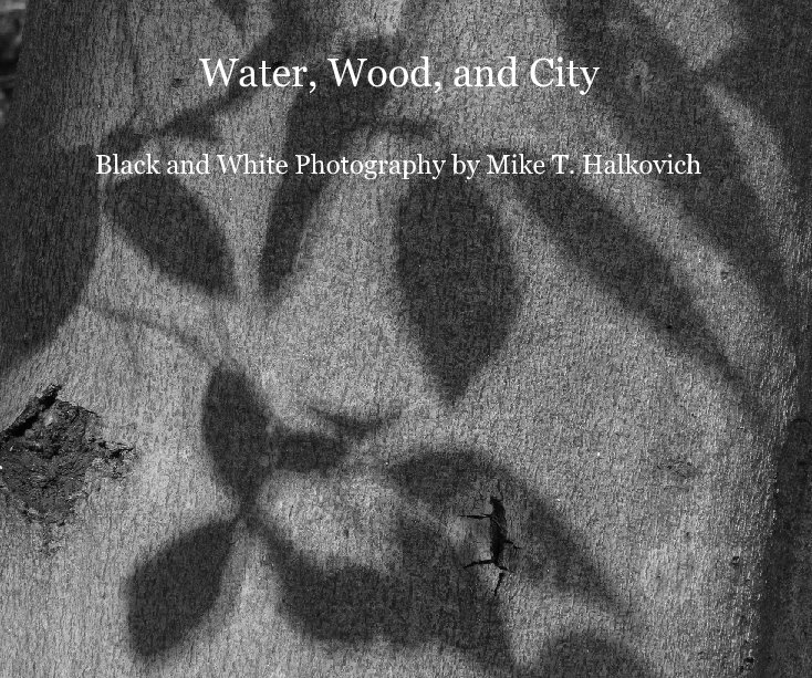Ver Water, Wood, and City por Mike T. Halkovich