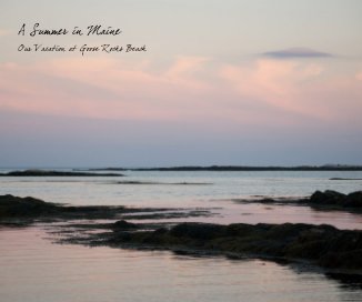 A Summer in Maine book cover