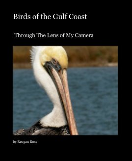 Birds of the Gulf Coast book cover