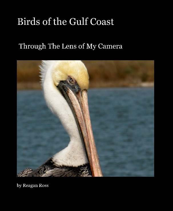 View Birds of the Gulf Coast by Reagan Ross