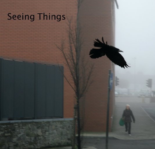 Ver Seeing Things por Dragana Jurisic