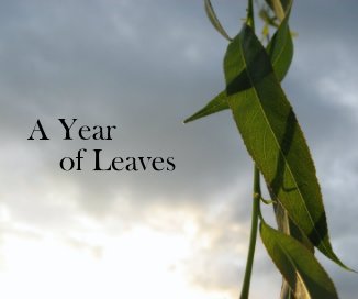 A Year of Leaves book cover