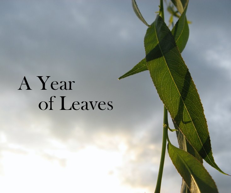 View A Year of Leaves by bsw22