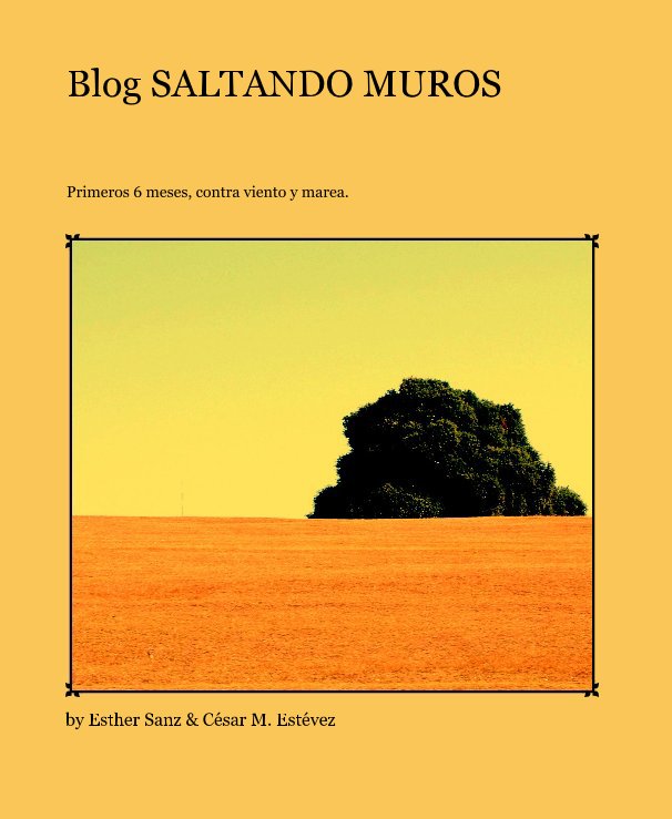View Blog SALTANDO MUROS by Esther Sanz & César M. Estévez