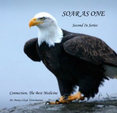 SOAR AS ONE Second In Series book cover