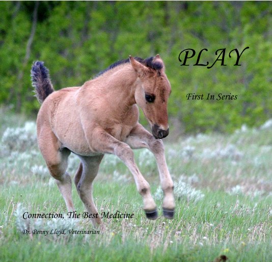 Visualizza PLAY First In Series di Dr. Penny Lloyd, Veterinarian