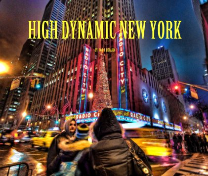 HIGH DYNAMIC NEW YORK book cover