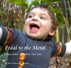 Pedal to the Metal book cover