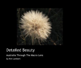 Detailed Beauty book cover