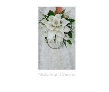 Michael and Serena book cover