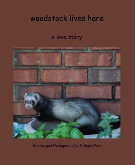 woodstock lives here book cover