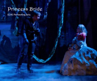 Princess Bride book cover
