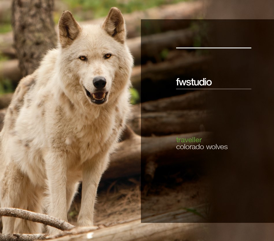 Ver fwstudio traveller : colorado wolves por fwstudio : Olivia and Aaron Whitford